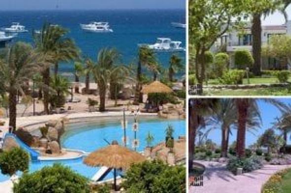 7 حالات تهدد المنشأة الفندقية بالغلق تشمل الإخلال بالنظام العام.. تفاصيل