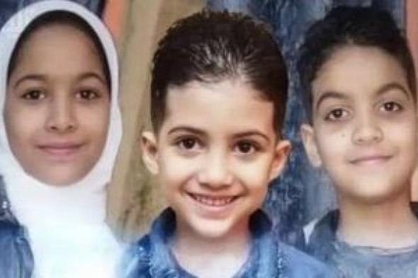 3 سيناريوهات محتملة لأولى جلسات محاكمة المتهم في جريمة فيصل