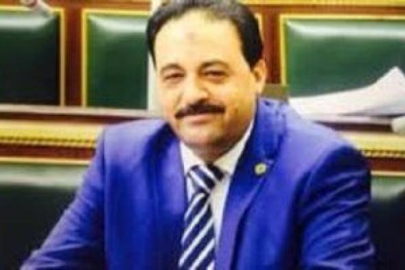 برلمانى: بيان الرئيس السيسي عن الانتخابات يؤكد انحيازه الكامل لإرادة المواطنين