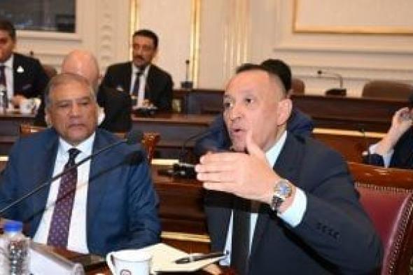 ياسر عبد المقصود: الرئيس وضع خارطة طريق لانتخابات نزيهة تحترم إرادة الشعب