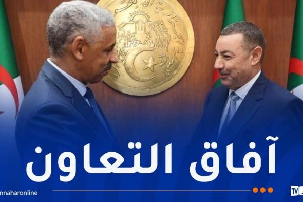 وزير الداخلية يستقبل رئيس مجموعة البنك الإفريقي للتنمية