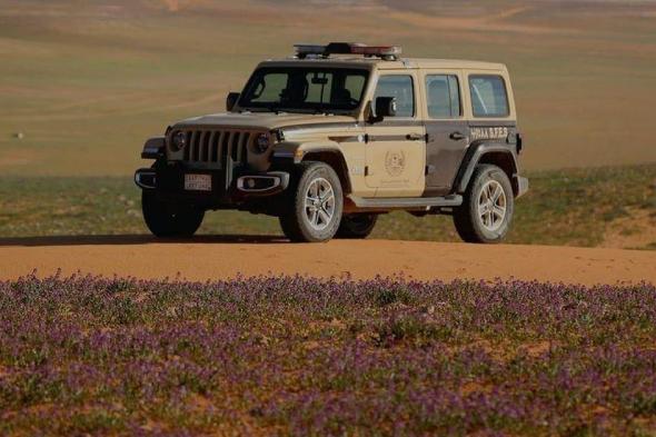 القوات الخاصة للأمن البيئي تضبط مواطنًا مخالفًا لنظام البيئة