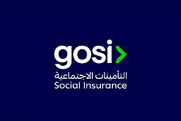 توضيح من «التأمينات الاجتماعية» بشأن تسجيل موظف عمره 15 عامًا