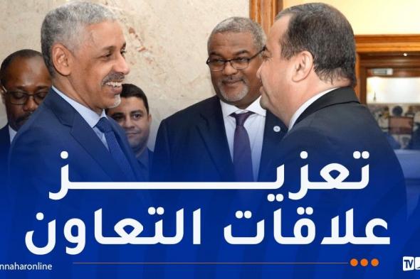 البنك الإفريقي للتنمية يؤكد استعداده لتمويل مشاريع الجزائر الاستراتيجية