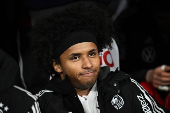 تغريم نجم دورتموند لحيازة أسلحة