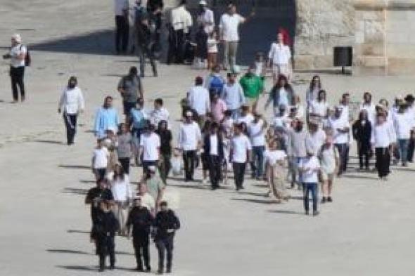 مستوطنون يطلقون الرصاص على أطراف بلدة سنجل