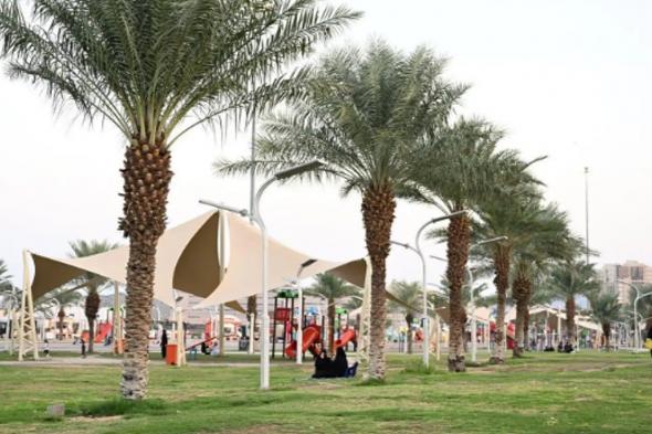 المنتزهات في مكة المكرمة تشهد إقبالًا من الأهالي مع اعتدال الأجواء