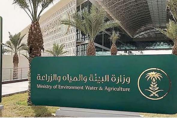 ضبط
    منشأة
    في
    الرياض
    لتشغيل
    مسلخ
    دون
    ترخيص