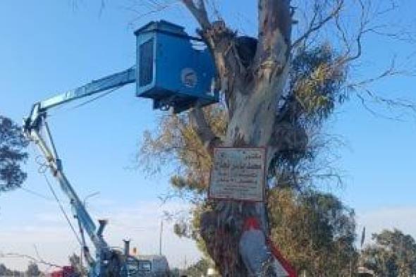 محافظ
كفر
الشيخ
يوجّه
برفع
مستوى
أمان
طريق
إسحاقة
-
السرو