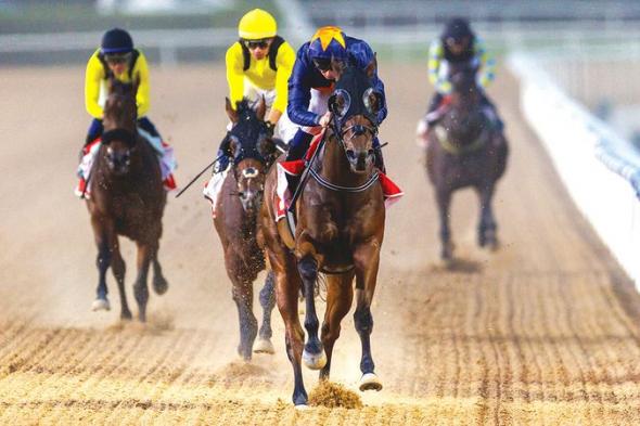 1.84 مليون درهم جوائز الأمسية الثالثة في «كرنفال سباقات دبي»