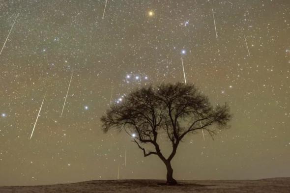 الإمارات للفلك: بدء نشاط زخة شهب التوأميات