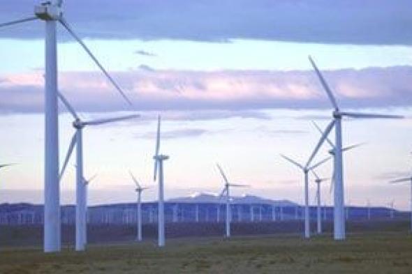 القانون
يحدد
تعريفة
عادلة
لإنتاج
الطاقة
من
المخلفات..
اعرف
التفاصيل