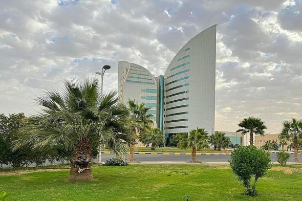 جامعة
    نجران
    تعلن
    توفر
    وظائف
    أكاديمية
    بنظام
    التعاقد