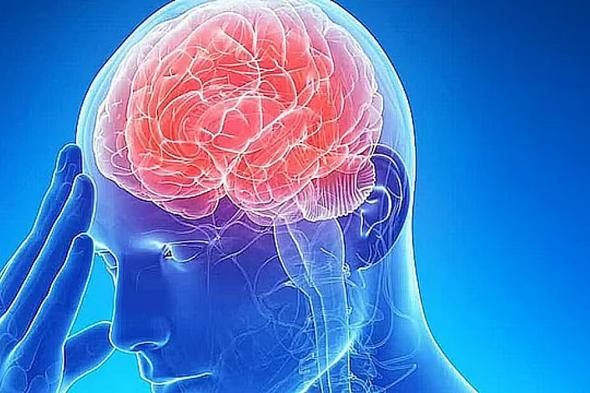 فهد
    الطبية
    توضح
    أعراض
    السكتة
    الدماغية
    وعوامل
    خطر
    الإصابة
    بها