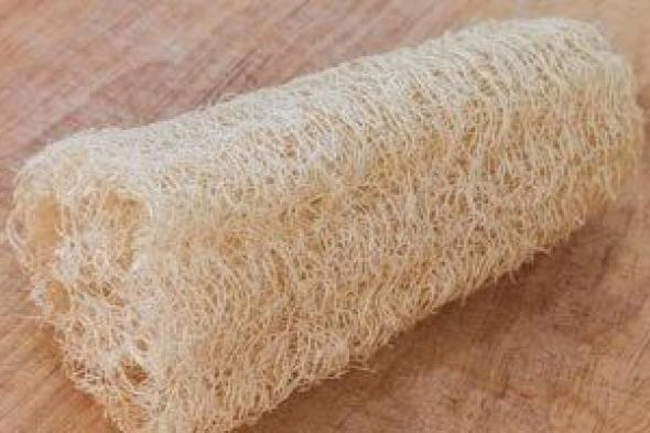 طبيبة
أمراض
جلدية
تحذر:
أسفنجة
الاستحمام
الخاصة
بك
مصنع
للجراثيم