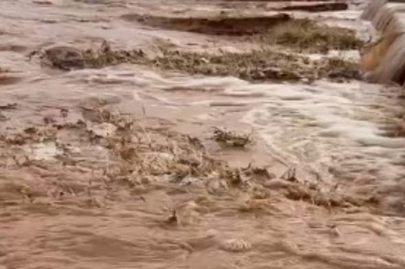 بالفيديو..
    سيول
    جنوب
    تيماء
    في
    مشاهد
    جوية
    خلابة
    عقب
    أمطار
    اليوم