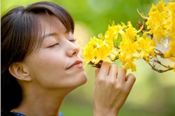 اضطرابات
      الشم
      ترتبط
      بـ
      130
      مرضاً