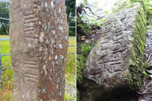 أول
      قاموس
      للغة
      السلتية
      القديمة