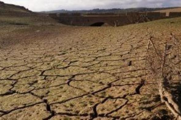 ندرة
المياه
تهدد
العالم..
الفاو:
انخفاض
توافر
المياه
المتجدد
بنسبة
7%
للفرد