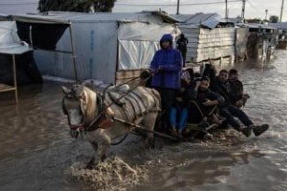 معاناة
أهالى
غزة..
الفيضانات
تغرق
خيام
خان
يونس