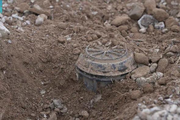 "مسام"
    ينزع
    699
    لغمًا
    في
    أسبوع
    ويواصل
    تطهير
    اليمن
    من
    التهديدات
    المزروعة
    عشوائيًّا