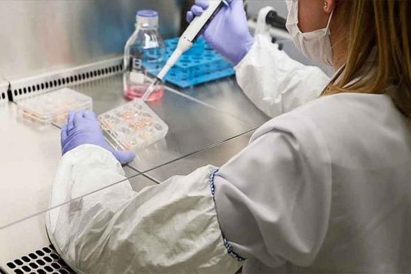 علماء
روس
يبتكرون
علاجًا
لنقل
الأدوية
إلى
الدماغ
عبر
الأنف
بأمان
وكفاءة