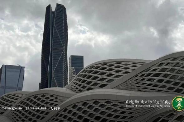 الرياض
تسجّل
أعلى
كمية
أمطار
خلال
24
ساعة
بـ47
ملم
في
شقراء