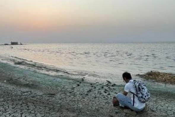 تعرف
على
7
مشروعات
ساعدت
فى
إعادة
التوزان
البيئي
لبحيرة
قارون