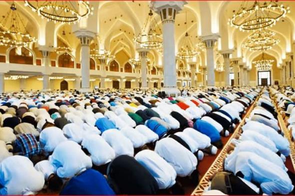 أفضل
    5
    تطبيقات
    للصلاة
    الإسلامية
    وأدوات
    الصلاة
    لعام
    2026