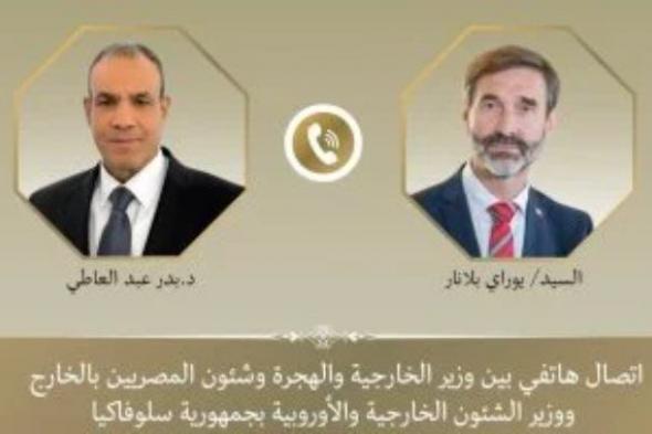 وزير الخارجية يؤكد أهمية ضمان استدامة وقف إطلاق النار فى غزة