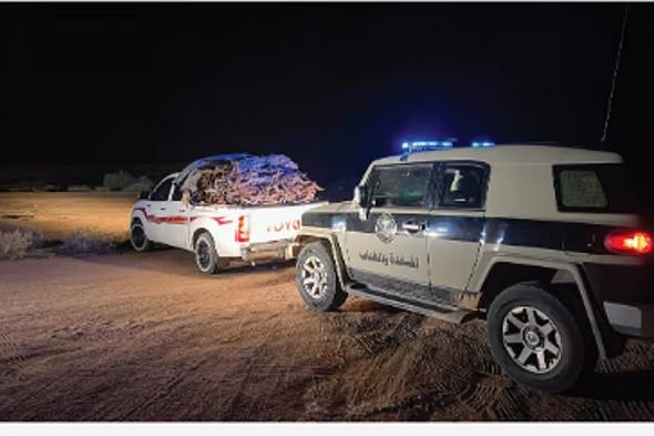 ضبط
مواطن
بحوزته
حطب
محلي
معروض
للبيع
في
المدينة
المنورة