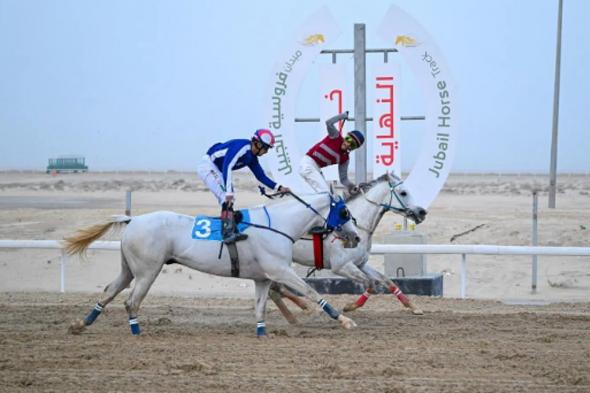 "فروسية
الجبيل"
ينظم
ثاني
سباقاته
للموسم
الحالي
1447