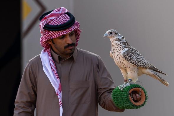 120
    صقارًا
    يدشنون
    أشواط
    نخبة
    المحليين
    في
    انطلاق
    مهرجان
    الملك
    عبدالعزيز
    للصقور
    2025