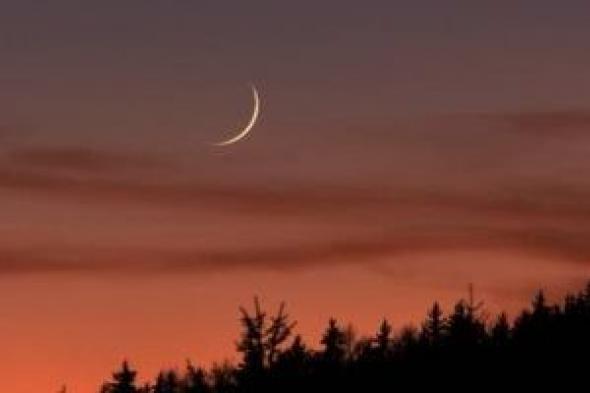 فاضل
54
يوما..
موعد
شهر
رمضان
وأول
أيامه
فلكيا
لعام
1447
هجريا