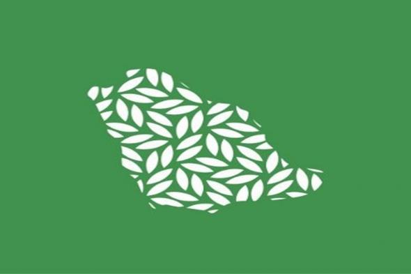 البرنامج
    الوطني
    للتشجير:
    بيئات
    عسير
    الجبلية
    والساحلية
    تزدهر
    بأكثر
    من
    165
    نوعًا
    من
    النباتات
    المحلية