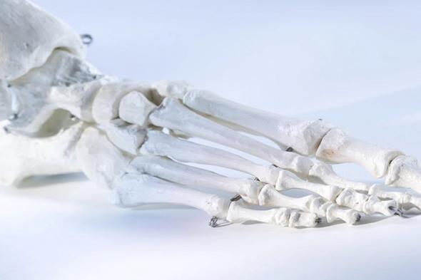 علماء
    يبتكرون
    مادة
    تساهم
    في
    تسريع
    شفاء
    العظام