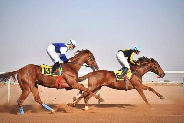 ميدان
    فروسية
    حائل
    ينظم
    اليوم
    حفل
    سباقه
    السادس