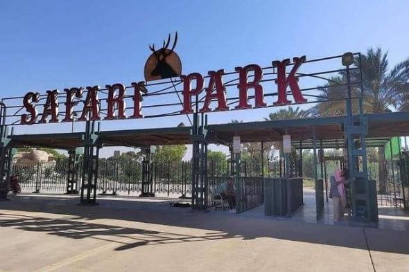 سفاري
بارك
امبابة