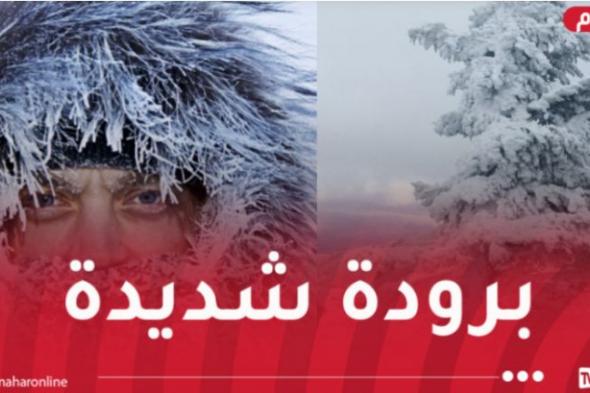 برودة
شديدة
عبر
عدة
ولايات
اليوم