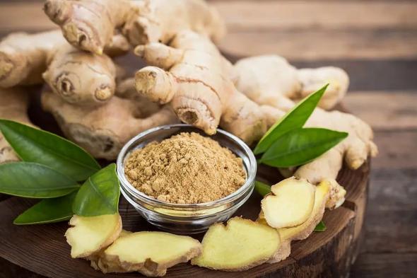 خالد
    النمر:
    الزنجبيل
    لا
    يرفع
    الضغط
    وقد
    يخفضه
    بشكل
    طفيف