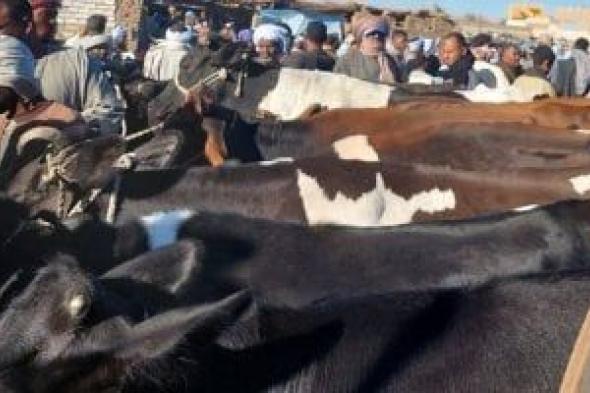 بيطرى
الأقصر
يحمى
الثروة
الحيوانية
بالتحصين
والتفتيش
الأسبوعى
بأسواق
الماشية..
صور