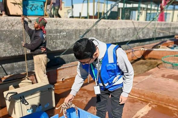 "بيئة
    الشرقية"
    تُطلق
    حملة
    رقابية
    على
    12
    مرفأ
    صيد
    لتعزيز
    الامتثال
    وحماية
    الثروة
    السمكية