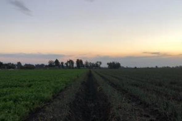 من
الكوالح
إلى
الصوالح..
دليلك
الشامل
لمعرفة
أيام
البرد
فى
الشتاء