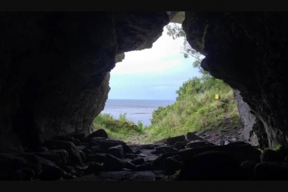 البشر
      استخدموا
      الذئاب
      للصيد
      قبل
      آلاف
      السنين