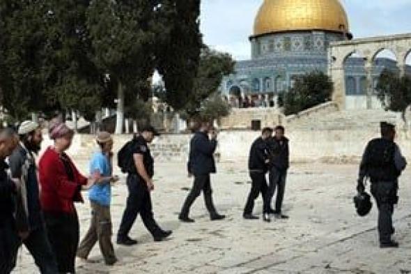 أكثر
من
200
مستوطن
يقتحمون
ساحات
المسجد
الأقصى
المبارك