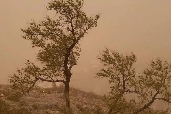 الأرصاد:
    استمرار
    تأثير
    الرياح
    النشطة
    المثيرة
    للأتربة
    والغبار
    على
    الرياض
    والحدود
    الشمالية
    والجوف
    وتبوك