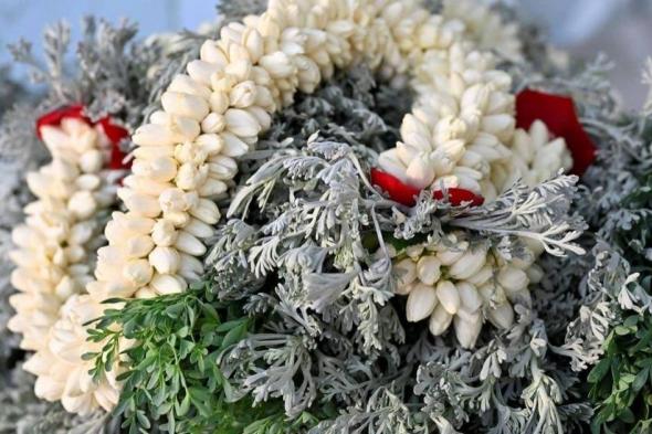 النباتات
      الطبية..
      كنوز
      دوائية
      وقيمة
      اقتصادية