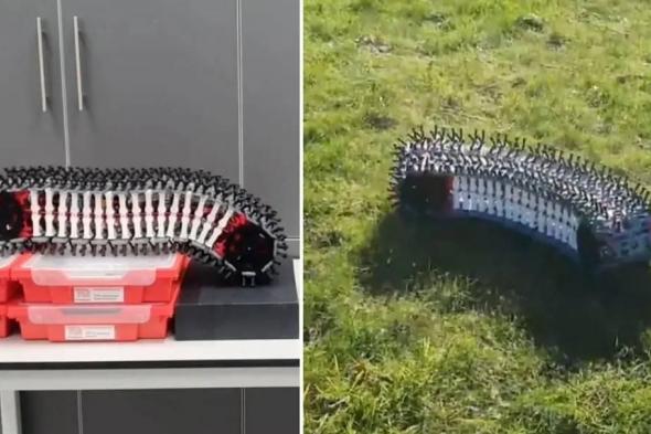 روبوت
زاحف
يتنقل
داخل
الأنابيب
الضيقة
والبيئات
الخطرة