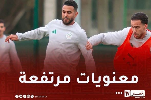 بالصور..
الخضر
يشرعون
في
التحضير
لمواجهة
الكونغو
الديمقراطية