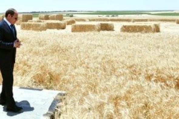 برلمانى:
الزراعة
فى
عهد
الرئيس
السيسي
تحولت
لقوة
قومية
من
العمل
المتواصل